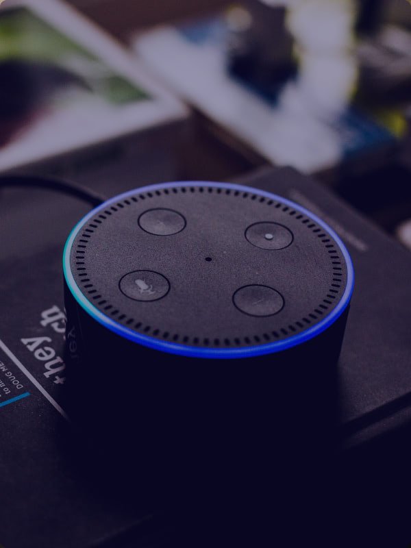 Home 9 andres urena tsBropDpnwE unsplash Pet Care Relief