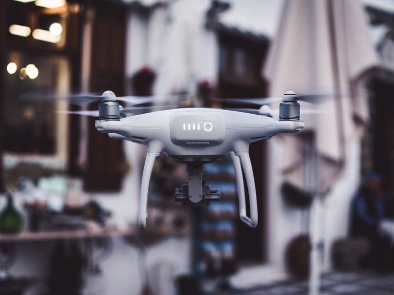 Aliquet Lectus Proin Nibhnisl Condimentum Dvenenatis Condimentum 3 jason blackeye 2SPPbNbVQ3Y unsplash Pet Care Relief