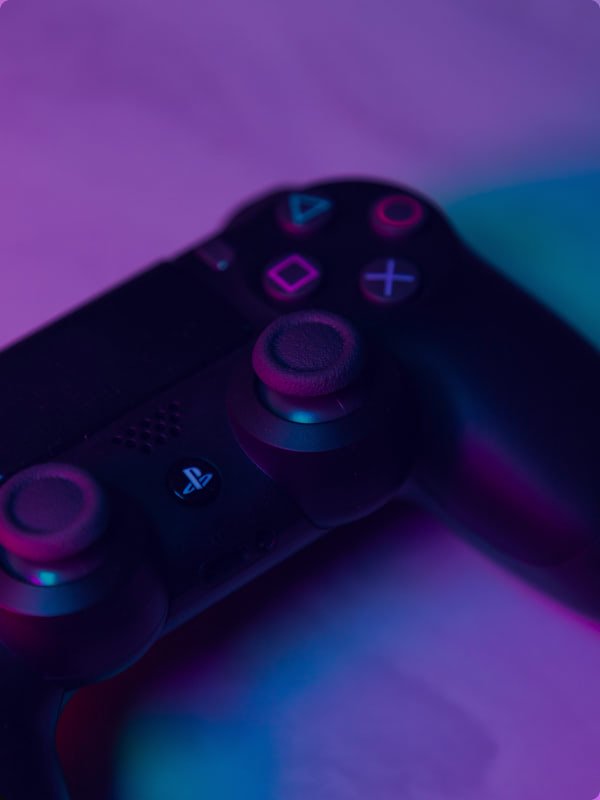 Home 11 taylor r BVi74hFpZfc unsplash Pet Care Relief