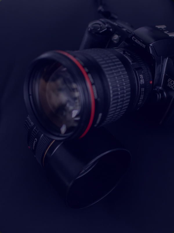 Home 12 william thomas C8ig94AFBE unsplash Pet Care Relief